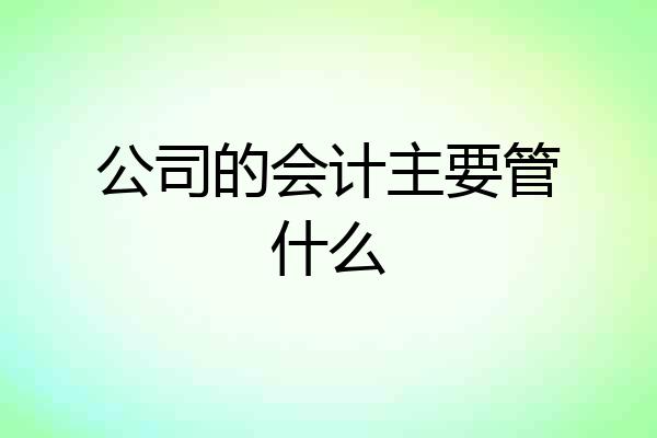 公司的会计主要管什么