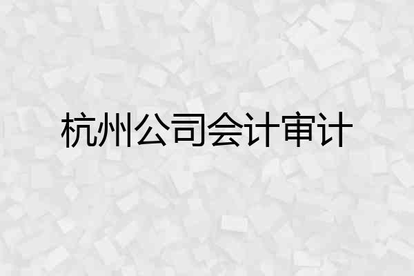 杭州公司会计审计