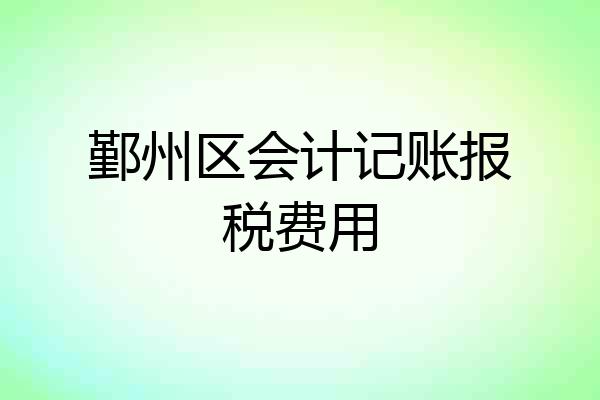 鄞州区会计记账报税费用