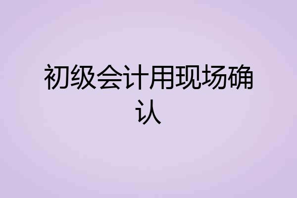 初级会计用现场确认