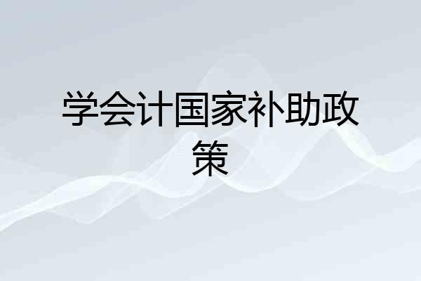 学会计国家补助政策