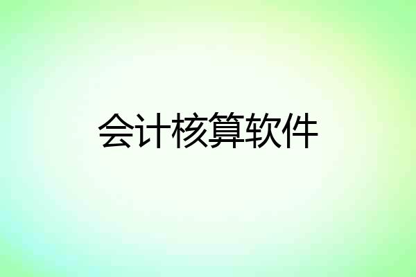 会计核算软件
