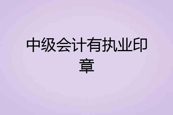 中级会计有执业印章