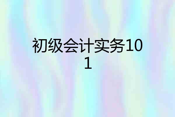 初级会计实务101