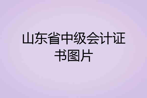 山东省中级会计证书图片