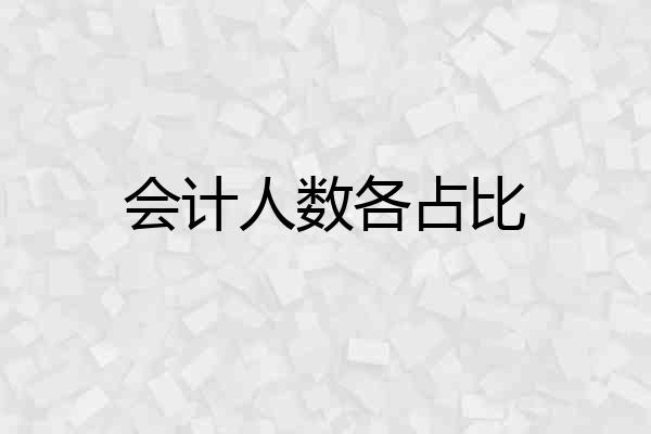 会计人数各占比