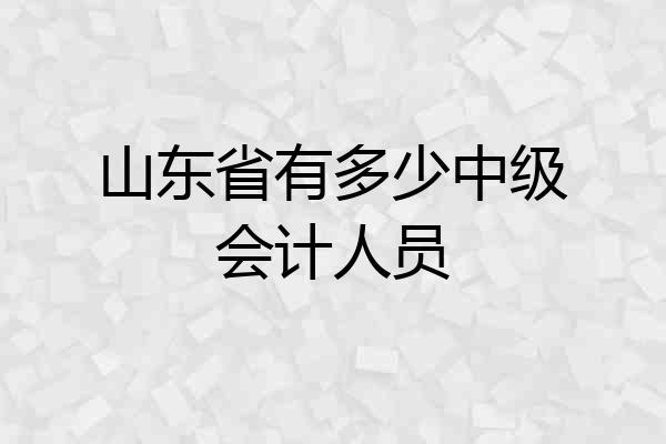 山东省有多少中级会计人员
