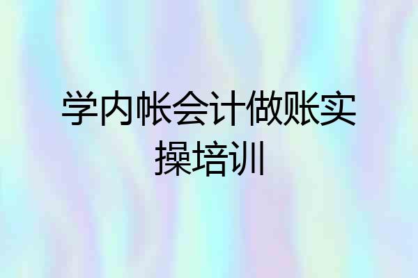 学内帐会计做账实操培训