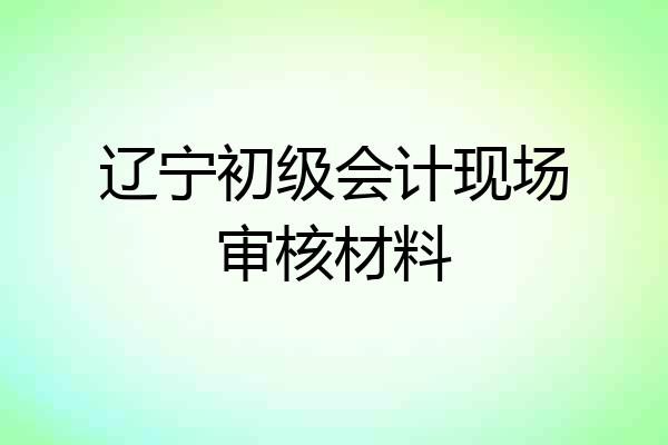 辽宁初级会计现场审核材料
