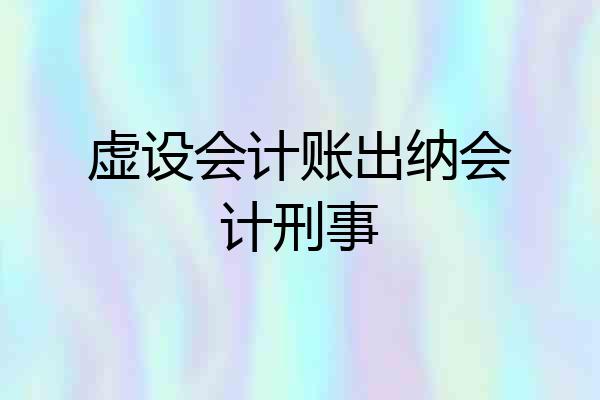 虚设会计账出纳会计刑事