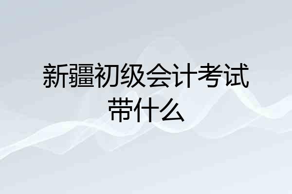 新疆初级会计考试带什么