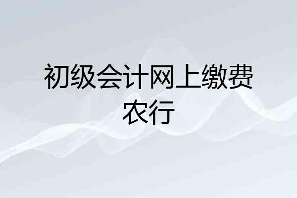 初级会计网上缴费农行