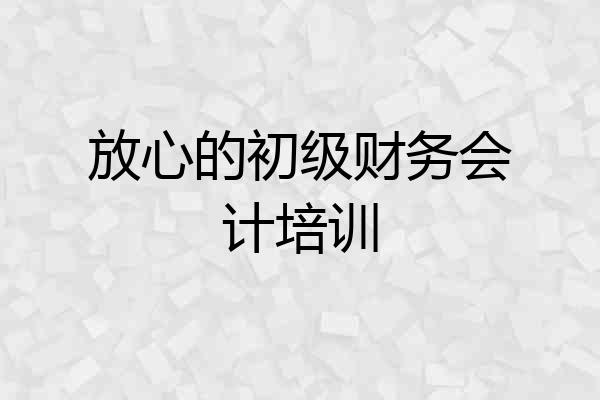 放心的初级财务会计培训