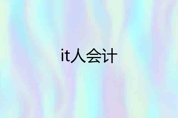 it人会计
