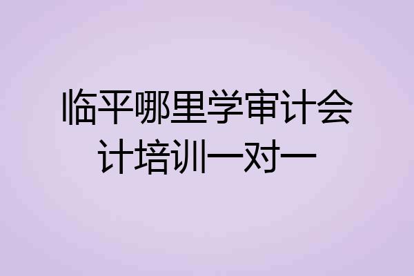 临平哪里学审计会计培训一对一
