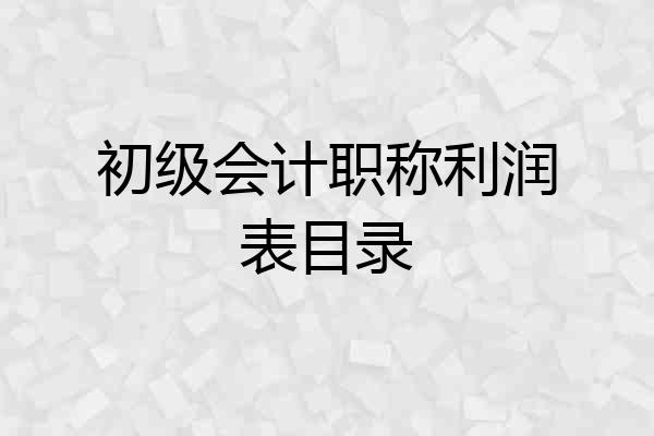 初级会计职称利润表目录