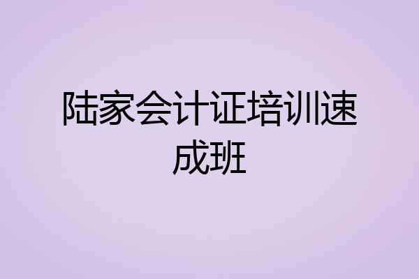 陆家会计证培训速成班