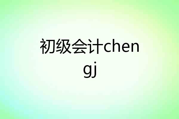 初级会计chengj