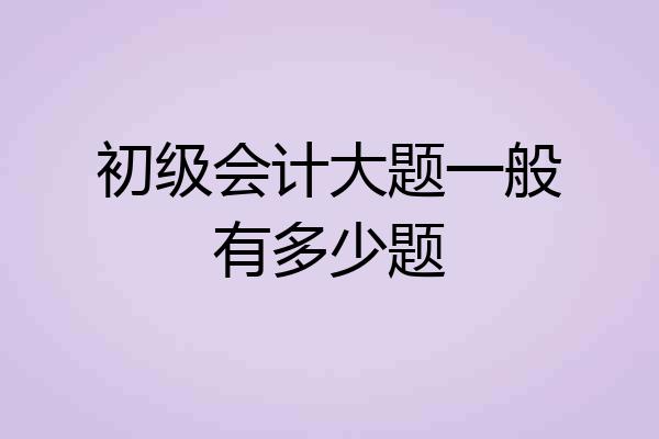 初级会计大题一般有多少题