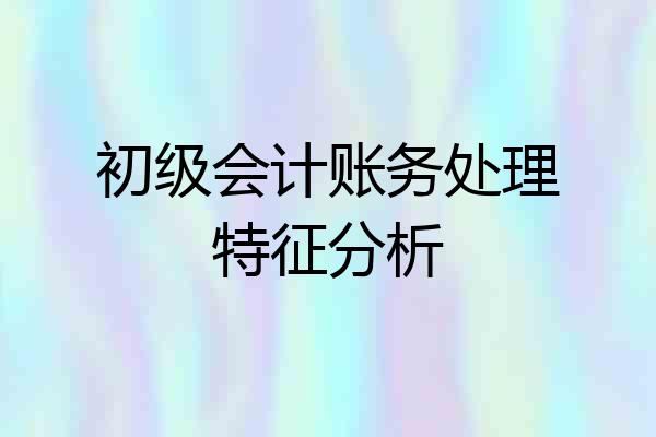 初级会计账务处理特征分析