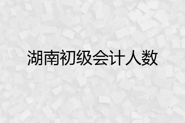 湖南初级会计人数