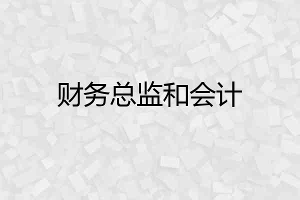 财务总监和会计