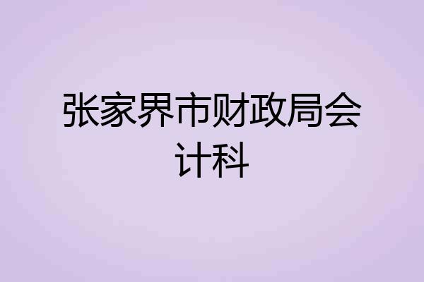 张家界市财政局会计科