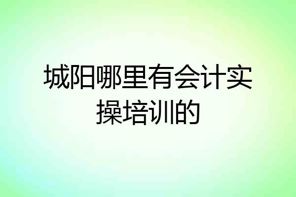 城阳哪里有会计实操培训的