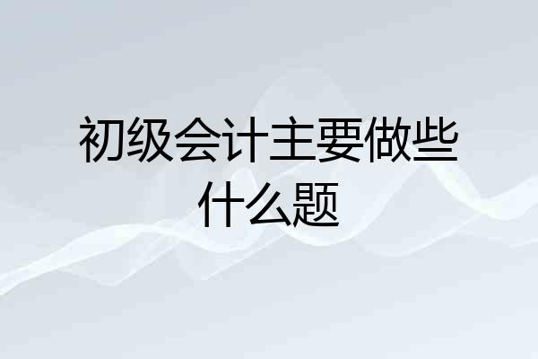 初级会计主要做些什么题