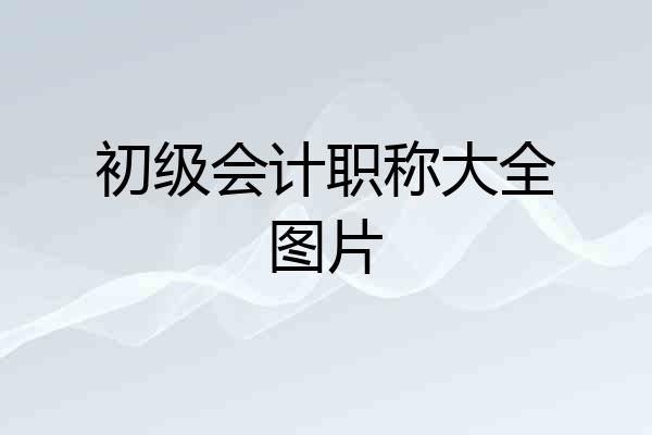 初级会计职称大全图片