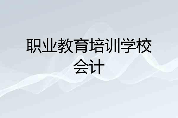 职业教育培训学校会计