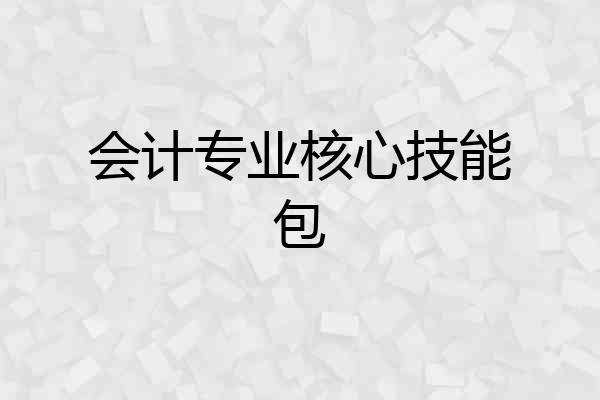会计专业核心技能包