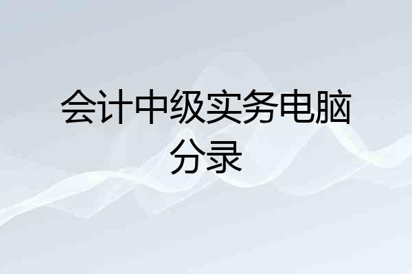 会计中级实务电脑分录