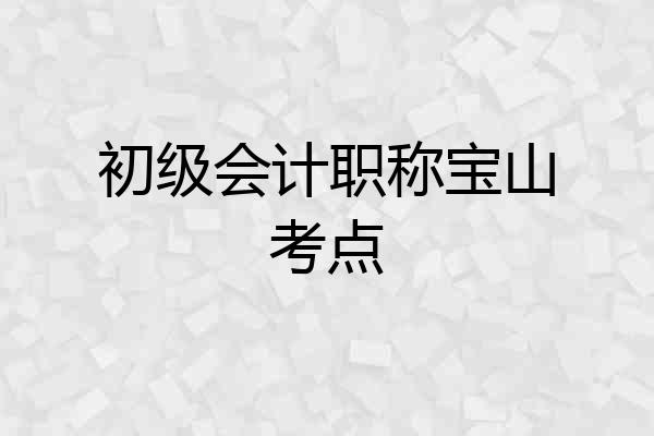 初级会计职称宝山考点