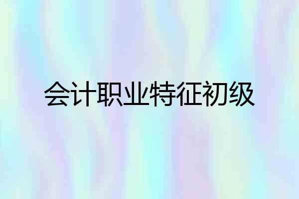 会计职业特征初级