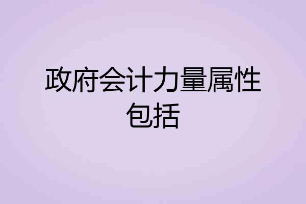政府会计力量属性包括