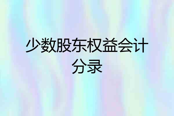 少数股东权益会计分录
