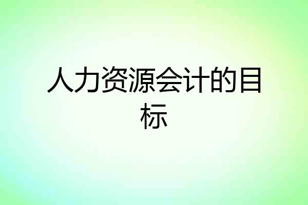 人力资源会计的目标