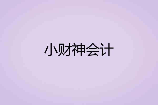 小财神会计