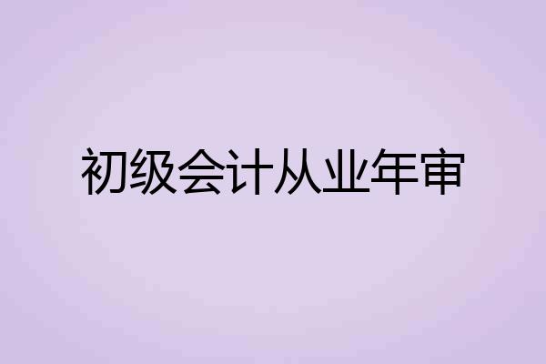 初级会计从业年审