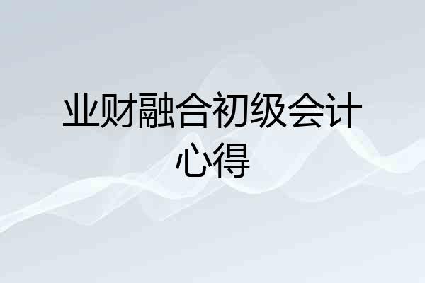 业财融合初级会计心得