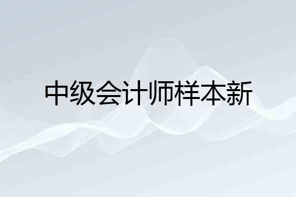 中级会计师样本新