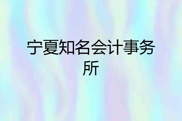 宁夏知名会计事务所