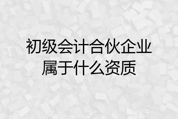 初级会计合伙企业属于什么资质