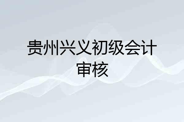 贵州兴义初级会计审核