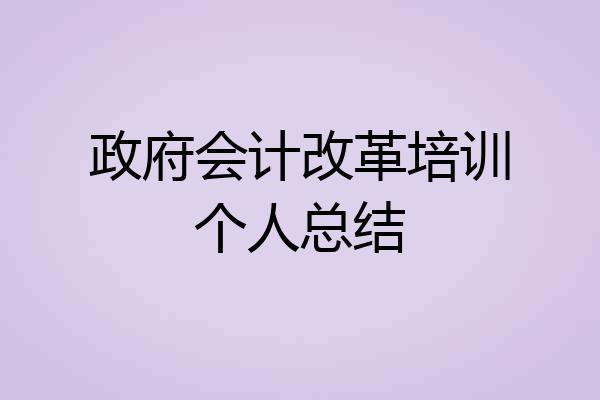 政府会计改革培训个人总结