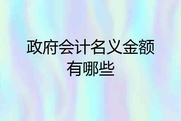 政府会计名义金额有哪些