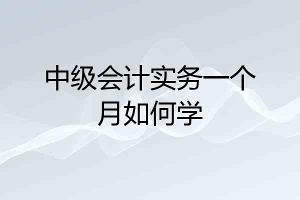 中级会计实务一个月如何学