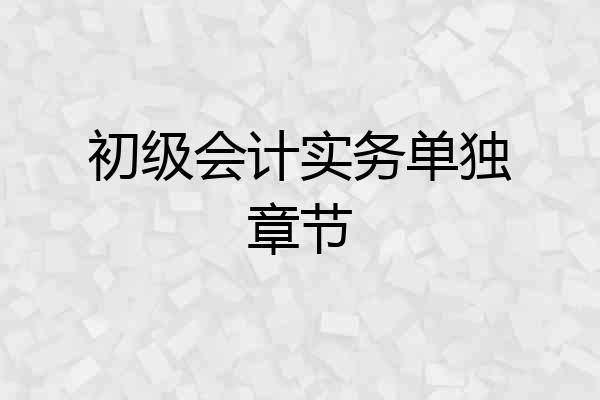 初级会计实务单独章节