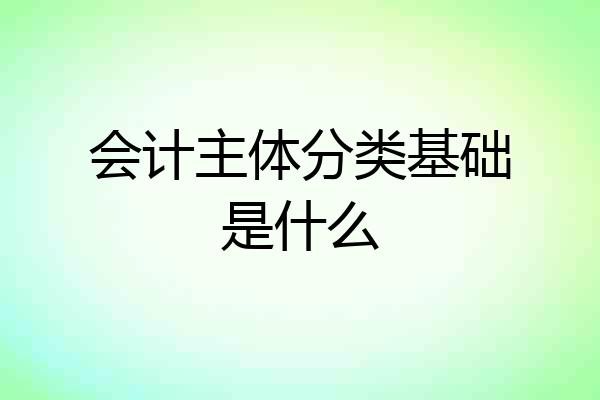 会计主体分类基础是什么